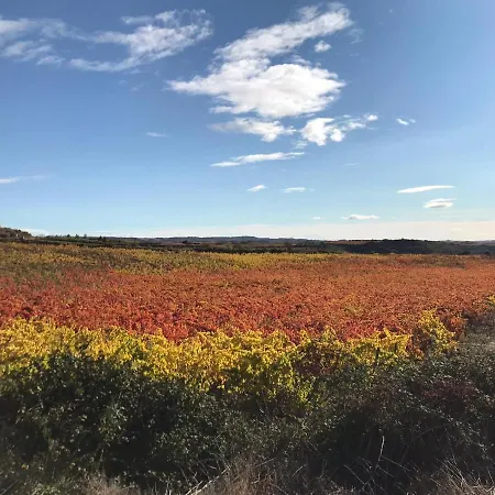 La Morada Del Pintor Evi00178 * La Guardia