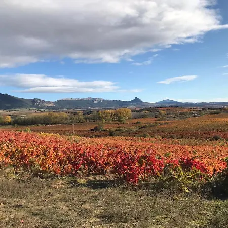 La Morada Del Pintor Evi00178 * Laguardia