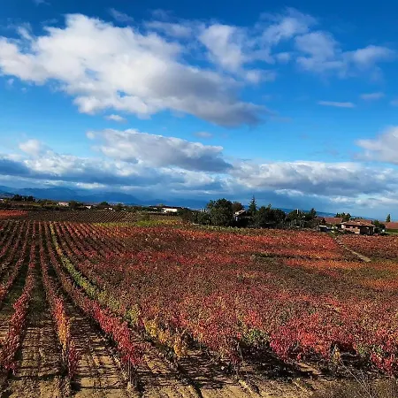 La Morada Del Pintor Evi00178 * Laguardia